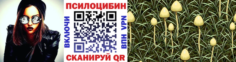 Псилоцибиновые грибы Psilocybe Мыски