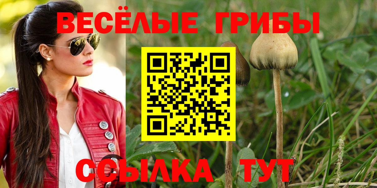 Галлюциногенные грибы ЛСД Мыски