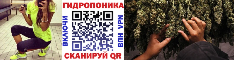 Канабис AK-47  где купить наркотик  Мыски 